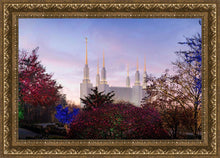 Load image into Gallery viewer, Washington DC Christmas Morning
