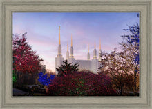 Load image into Gallery viewer, Washington DC Christmas Morning
