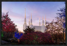 Load image into Gallery viewer, Washington DC Christmas Morning
