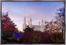 Load image into Gallery viewer, Washington DC Christmas Morning
