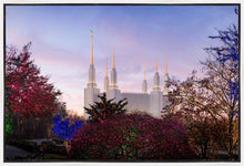 Load image into Gallery viewer, Washington DC Christmas Morning
