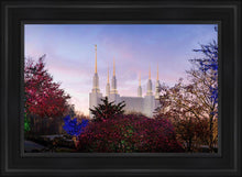 Load image into Gallery viewer, Washington DC Christmas Morning
