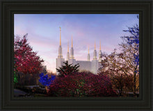 Load image into Gallery viewer, Washington DC Christmas Morning
