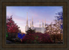 Load image into Gallery viewer, Washington DC Christmas Morning
