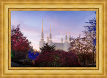 Load image into Gallery viewer, Washington DC Christmas Morning
