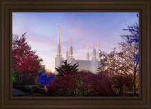 Load image into Gallery viewer, Washington DC Christmas Morning
