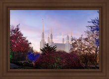 Load image into Gallery viewer, Washington DC Christmas Morning

