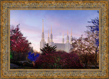 Load image into Gallery viewer, Washington DC Christmas Morning
