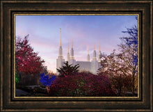 Load image into Gallery viewer, Washington DC Christmas Morning
