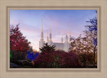 Load image into Gallery viewer, Washington DC Christmas Morning
