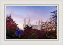 Load image into Gallery viewer, Washington DC Christmas Morning
