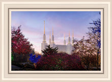 Load image into Gallery viewer, Washington DC Christmas Morning
