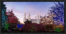 Load image into Gallery viewer, Washington DC Christmas Morning

