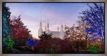 Load image into Gallery viewer, Washington DC Christmas Morning
