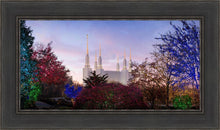 Load image into Gallery viewer, Washington DC Christmas Morning
