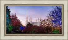 Load image into Gallery viewer, Washington DC Christmas Morning
