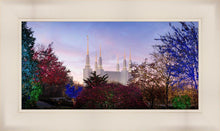 Load image into Gallery viewer, Washington DC Christmas Morning
