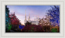 Load image into Gallery viewer, Washington DC Christmas Morning
