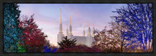 Load image into Gallery viewer, Washington DC Christmas Morning
