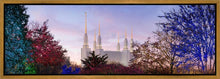 Load image into Gallery viewer, Washington DC Christmas Morning
