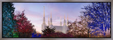 Load image into Gallery viewer, Washington DC Christmas Morning
