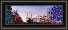 Load image into Gallery viewer, Washington DC Christmas Morning

