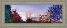 Load image into Gallery viewer, Washington DC Christmas Morning
