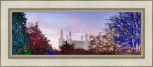 Load image into Gallery viewer, Washington DC Christmas Morning
