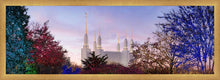 Load image into Gallery viewer, Washington DC Christmas Morning
