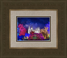 Load image into Gallery viewer, Washington DC Temple Christmas Lights
