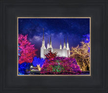 Load image into Gallery viewer, Washington DC Temple Christmas Lights
