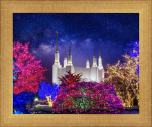 Load image into Gallery viewer, Washington DC Temple Christmas Lights
