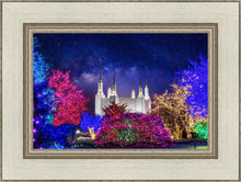 Load image into Gallery viewer, Washington DC Temple Christmas Lights
