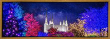 Load image into Gallery viewer, Washington DC Temple Christmas Lights
