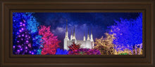 Load image into Gallery viewer, Washington DC Temple Christmas Lights
