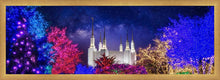 Load image into Gallery viewer, Washington DC Temple Christmas Lights
