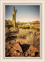 Load image into Gallery viewer, Phoenix Cactus Hill
