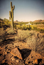 Load image into Gallery viewer, Phoenix Cactus Hill
