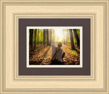 Load image into Gallery viewer, First Vision, Joseph Smith
