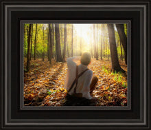 Load image into Gallery viewer, First Vision, Joseph Smith
