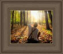 Load image into Gallery viewer, First Vision, Joseph Smith

