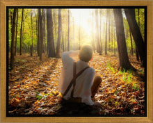 Load image into Gallery viewer, First Vision, Joseph Smith
