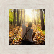 Load image into Gallery viewer, First Vision, Joseph Smith

