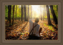 Load image into Gallery viewer, First Vision, Joseph Smith
