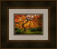 Load image into Gallery viewer, Tree of Perspective
