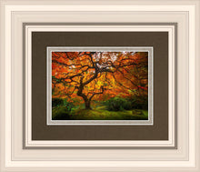 Load image into Gallery viewer, Tree of Perspective

