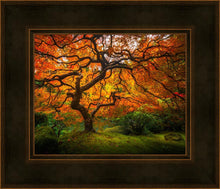 Load image into Gallery viewer, Tree of Perspective
