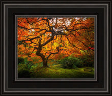 Load image into Gallery viewer, Tree of Perspective
