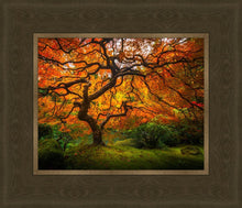 Load image into Gallery viewer, Tree of Perspective
