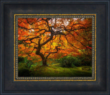 Load image into Gallery viewer, Tree of Perspective
